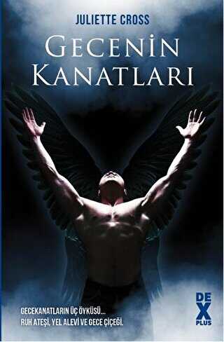 Gecenin Kanatları - Dex Yayınevi