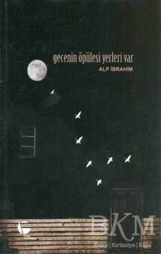 Gecenin Öpülesi Yerleri Var - Belge Yayınları