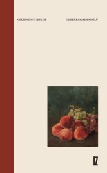 Geçip Giden Şeyler - İz Yayıncılık