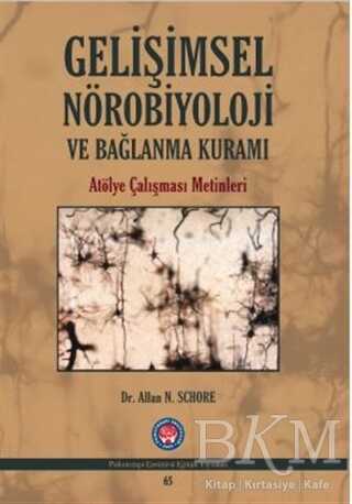 Gelişimsel Nörobiyoloji ve Bağlanma Kuramı - Psikoterapi Enstitüsü