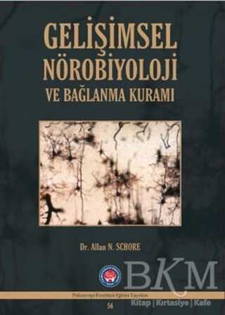Gelişimsel Nörobiyoloji ve Bağlanma Kuramı - Psikoterapi Enstitüsü