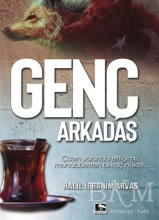 Genç Arkadaş - Çınaraltı Yayınları