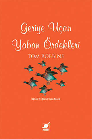 Geriye Uçan Yaban Ördekleri - Ayrıntı Yayınları