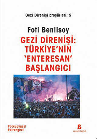 Gezi Direnişi: Türkiye`nin `Enteresan` Başlangıcı
