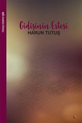 Gidişinin Ertesi - 1