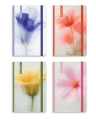 Gıpta 145-RPK Prıma 9x14 Haftalık Ajanda 2026 - Gıpta