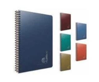 Gıpta 5687 Platinum Spiralli Pp Kapak Defter A4 80 Yp Çizgisiz - 1