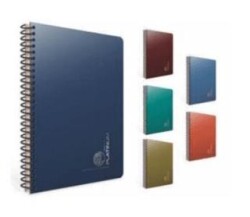 Gıpta 5692 Platinum Spiralli Pp Kapak Defter 17X24 100 Yp Çizgili - Gıpta