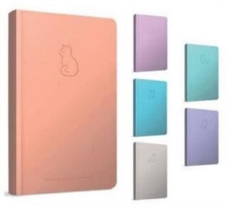 Gıpta Charm Notes İplik Dikiş Sert Kapak Defter 13X21 96 Çizgili - 1