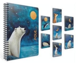 Gıpta Pole Notes Spiralli Pp Kapak Defter 17X24 80 Çizgili - 1