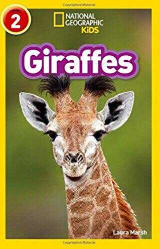 Giraffes Readers 2
