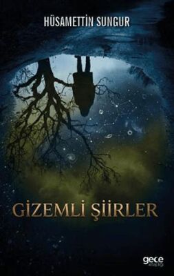 Gizemli Şiirler - 1