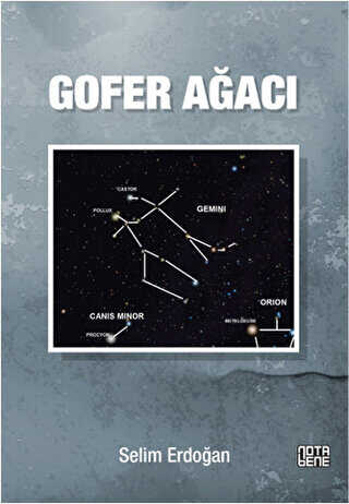 Gofer Ağacı - Nota Bene Yayınları