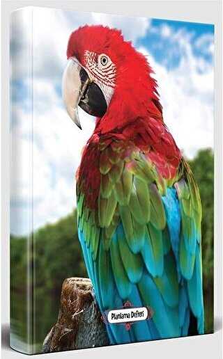 Gökkuşağı - Süresiz Planlama Defteri - Halk Kitabevi