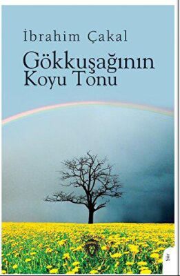 Gökkuşağının Koyu Tonu - 1
