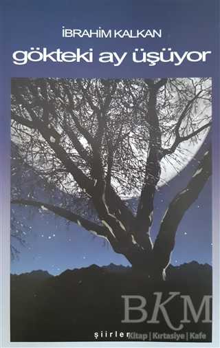 Gökteki Ay Üşüyor - Cağaloğlu Yayınevi
