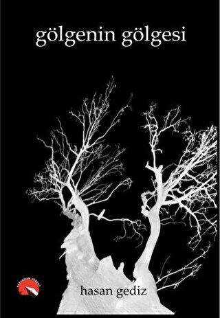 Gölgenin Gölgesi - Yazardan Direkt Yayınevi