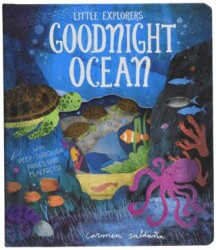 Goodnight Ocean - Little Tiger Group