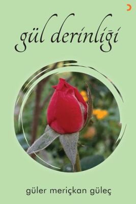 Gül Derinliği - 1