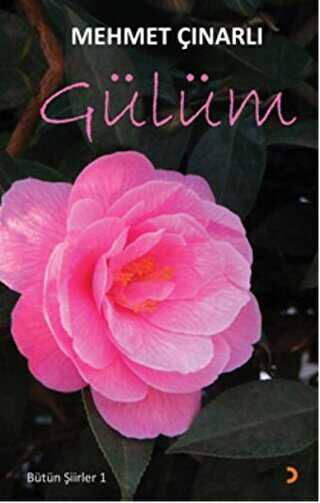 Gülüm - Cinius Yayınları