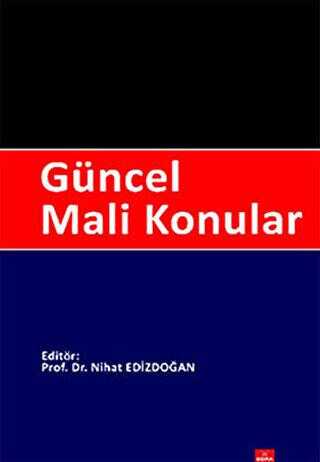Güncel Mali Konular - Dora Basım Yayın