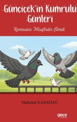 Günçiçek’in Kumrulu Günleri - 1