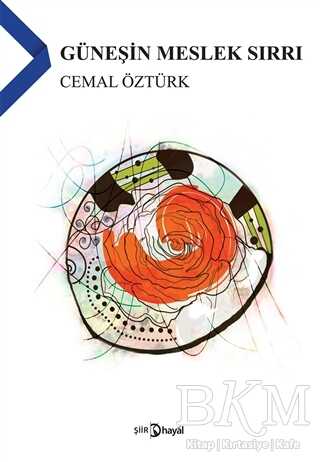 Güneşin Meslek Sırrı - Hayal Yayınları