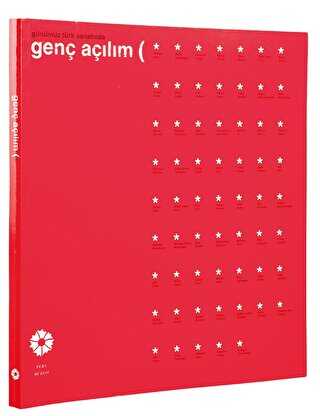 Günümüz Türk Sanatında Genç Açılım - Pera Müzesi Yayınları