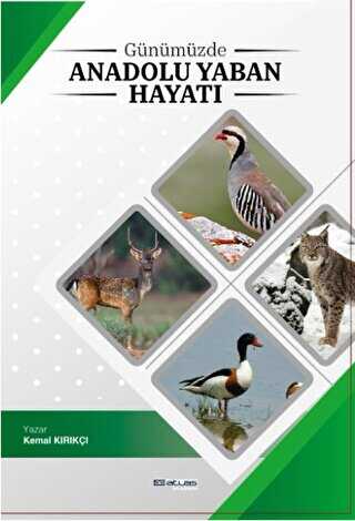 Günümüzde Anadolu Yaban Hayatı - Atlas Akademi