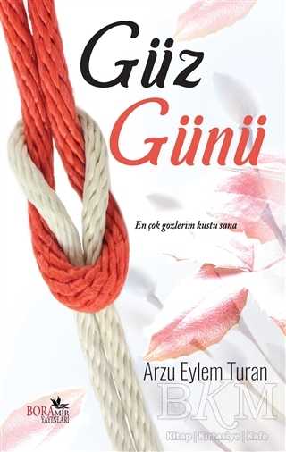 Güz Günü - Boramir Yayınları