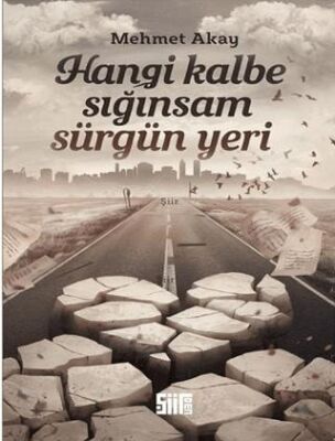 Hangi Kalbe Sığınsam Sürgün Yeri - 1