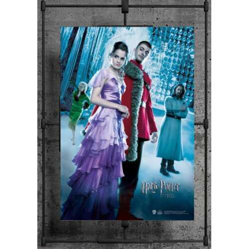 Harry Potter - Wizarding World Poster - Ateş Kadehi Hermione2 B.