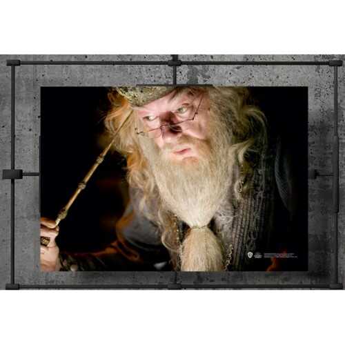 Harry Potter - Wizarding World Poster - Dumbledore A3