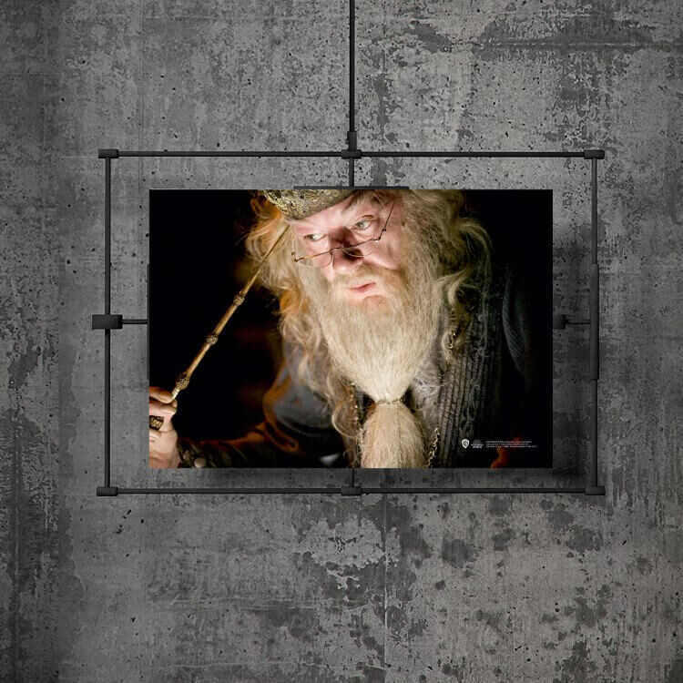 Harry Potter - Wizarding World Poster - Dumbledore B.