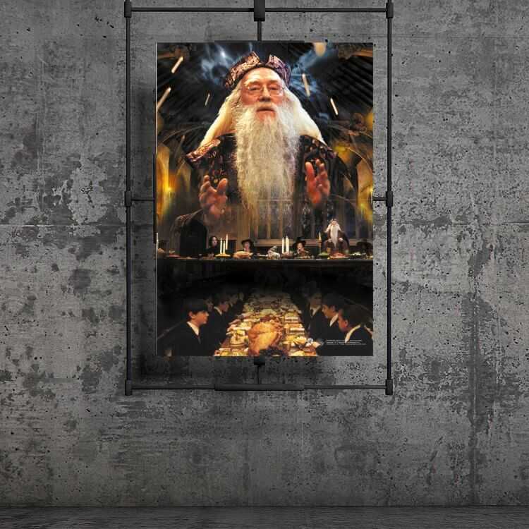 Harry Potter - Wizarding World Poster - Dumbledore2 A3
