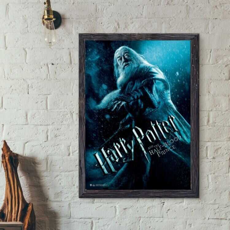 Harry Potter - Wizarding World - Poster - Harry Potter and Half Blood Prince Dumbledore 