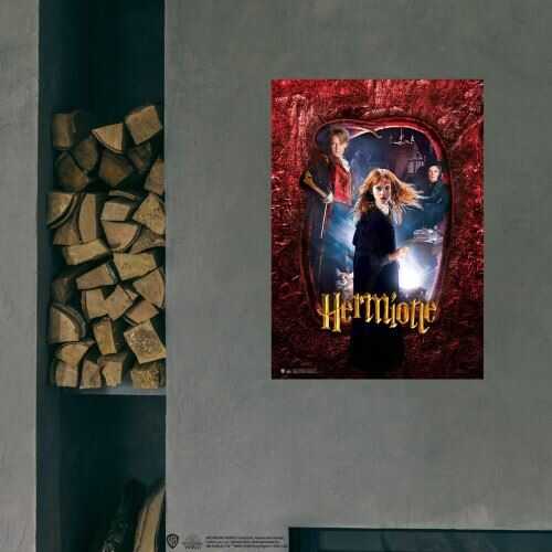 Harry Potter - Wizarding World - Poster - Hogwarts Karakter Hermione 
