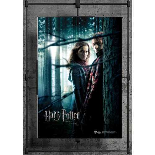 Harry Potter - Wizarding World Poster - Ölüm Yadigarları P.1 Ron-Hermione A3
