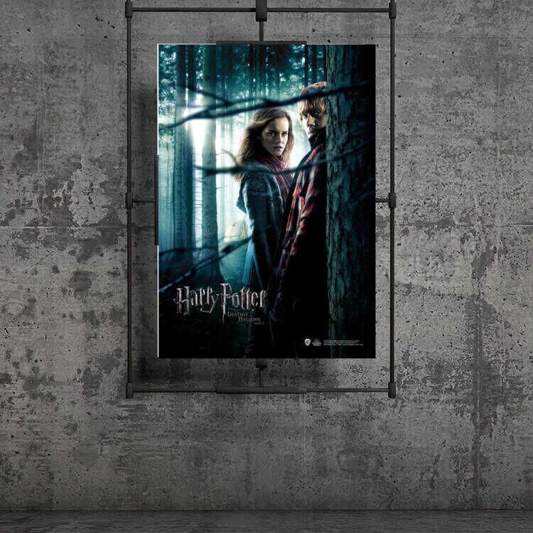 Harry Potter - Wizarding World Poster - Ölüm Yadigarları P.1 Ron-Hermione B.