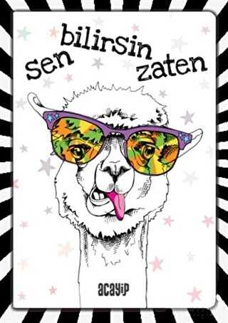 Havalı Panda Defter - Çılgın Defterler - Acayip Kitaplar