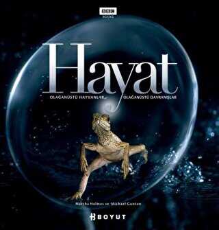 Hayat - Boyut Yayın Grubu