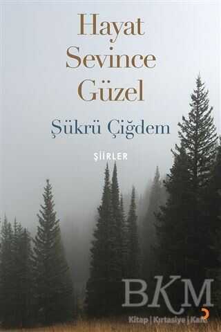 Hayat Sevince Güzel - Cinius Yayınları
