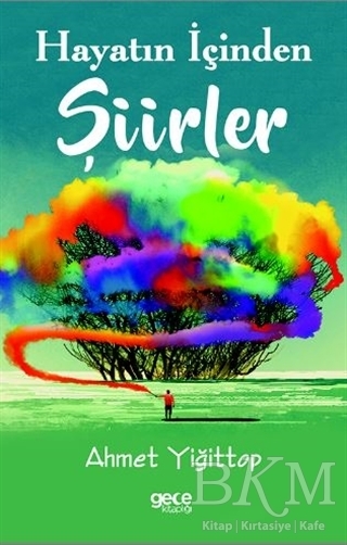 Hayatın İçinden Şiirler - Gece Kitaplığı