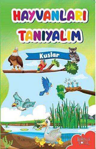 Hayvanları Tanıyalım - Kuşlar - Koloni Çocuk