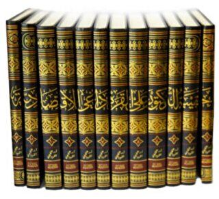 Hekibetü-l Doktor Ali el-Karadaği el-İktisadiyye 12 Cilt - 1