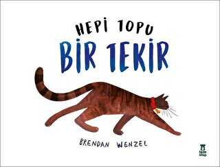 Hepi Topu Bir Tekir - Taze Kitap