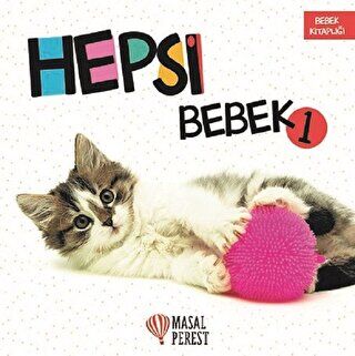 HEPSİ BEBEK 1 kapağı