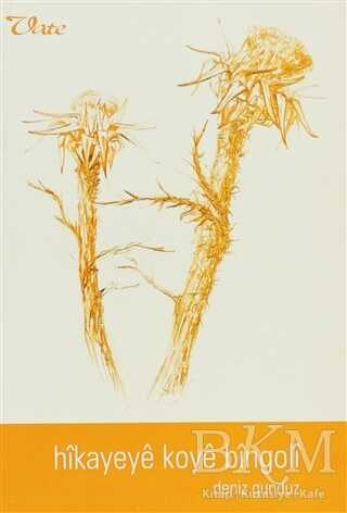 Hikayeye Koye Bingoli - Vate Yayınevi