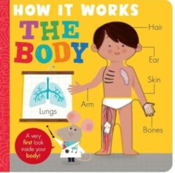 How it Works - The Body - Little Tiger Group