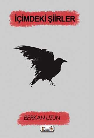 İçimdeki Şiirler - Şiir Antoloji Yayınları